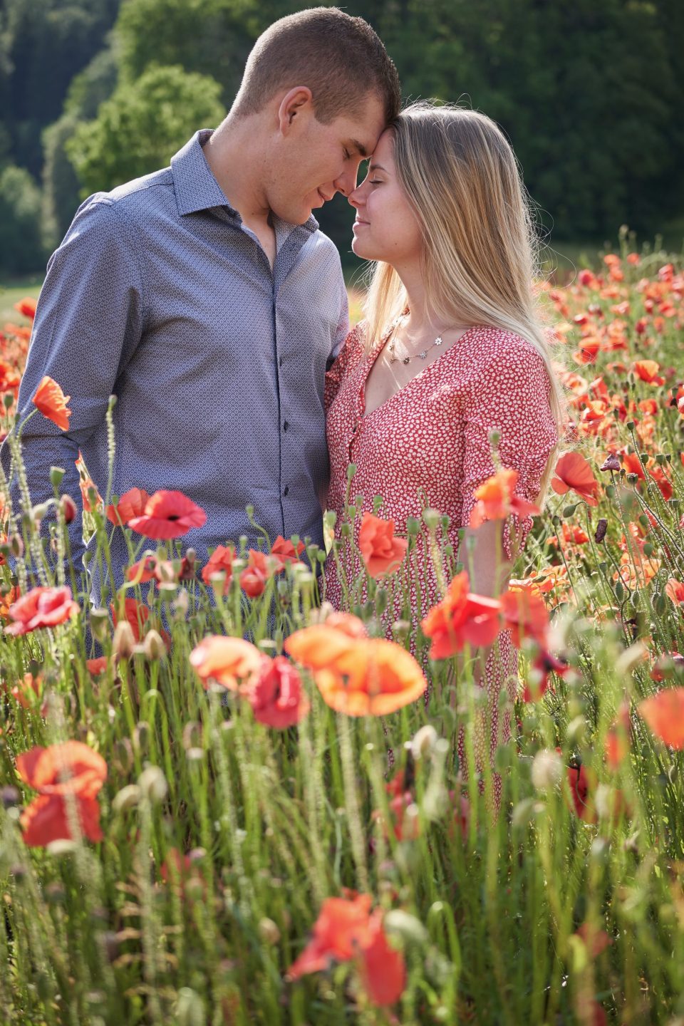 Séance couple coquelicots