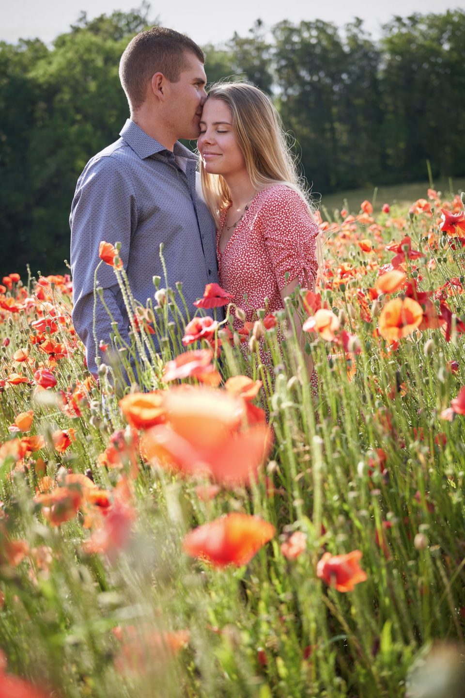 Séance couple coquelicots