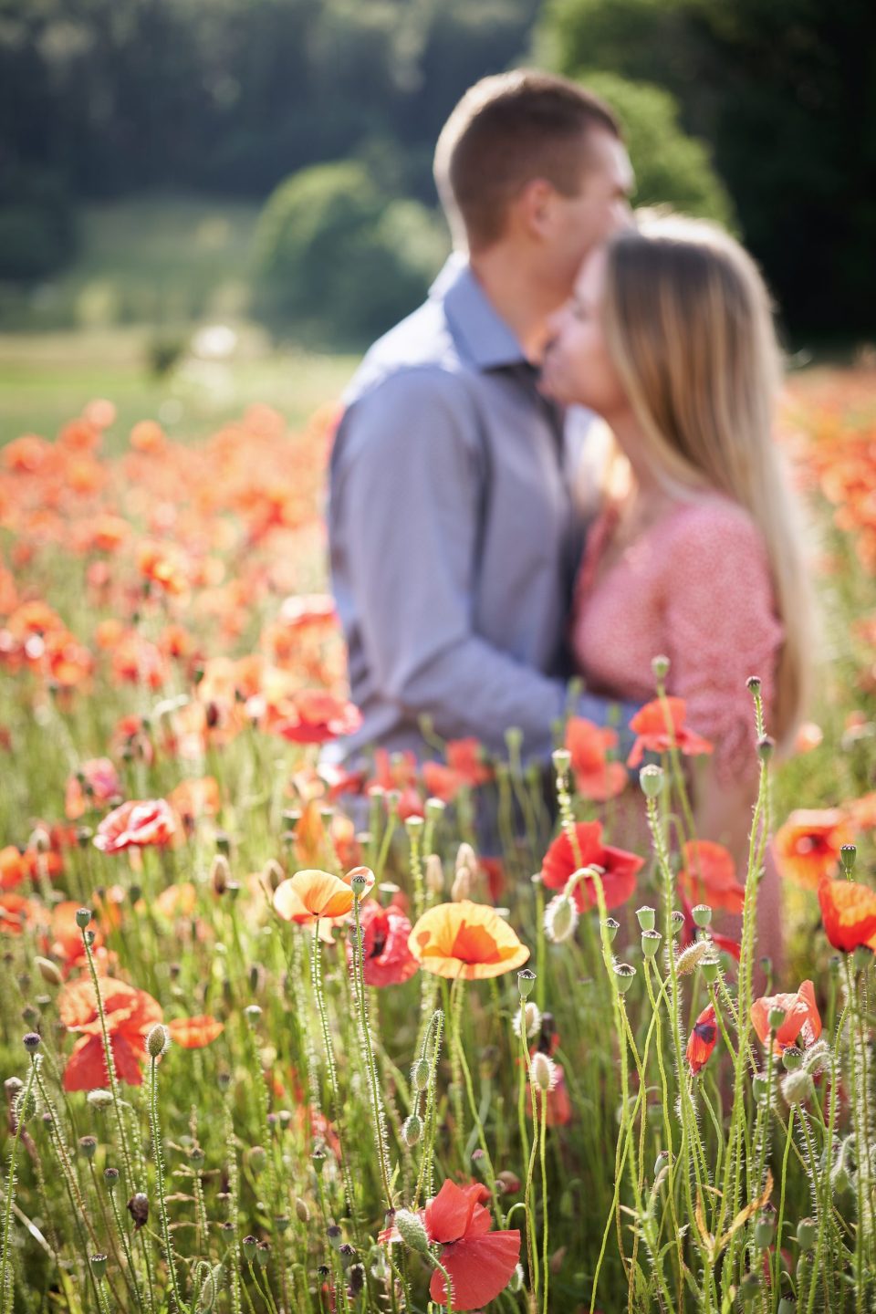 Séance couple coquelicots