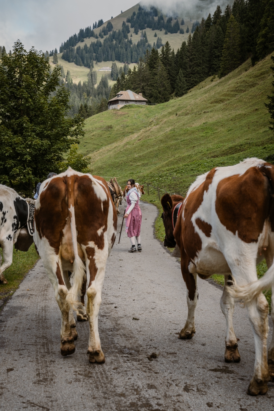 Photographe événement 