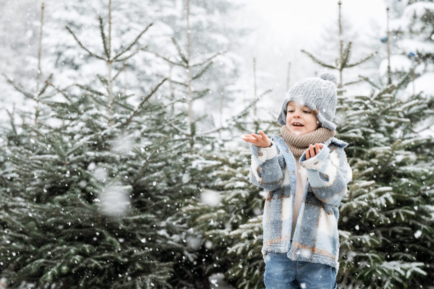 Séance photo famille neige