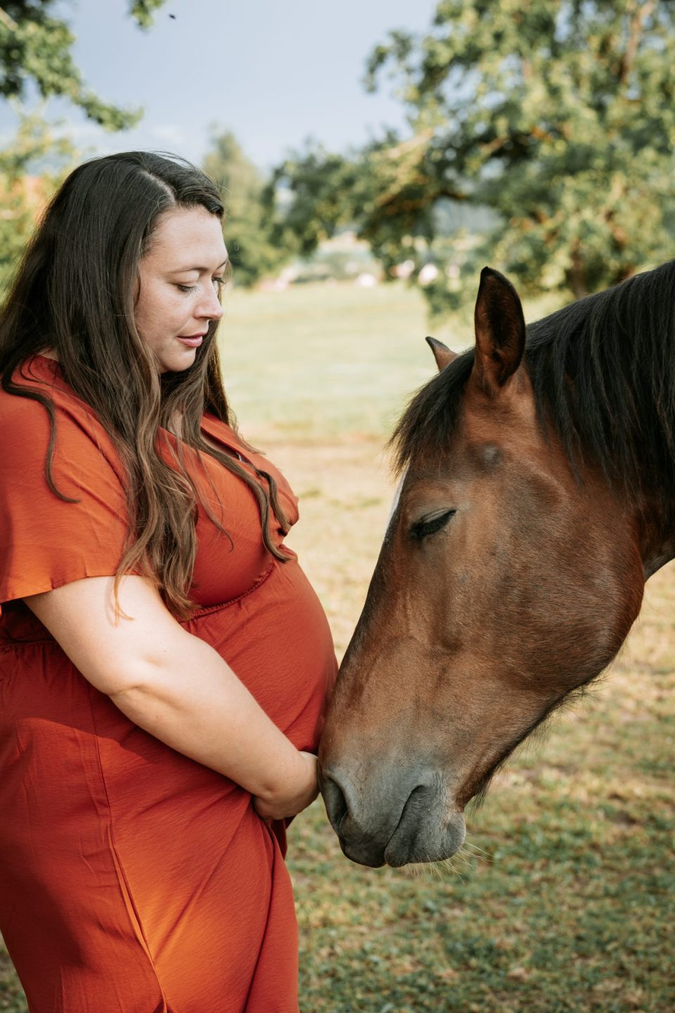 Photographe grossesse Veveyse
